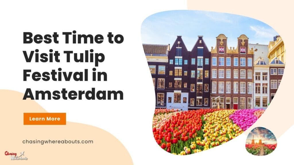 When is the Best Time to Visit the Tulip Festival in Amsterdam?