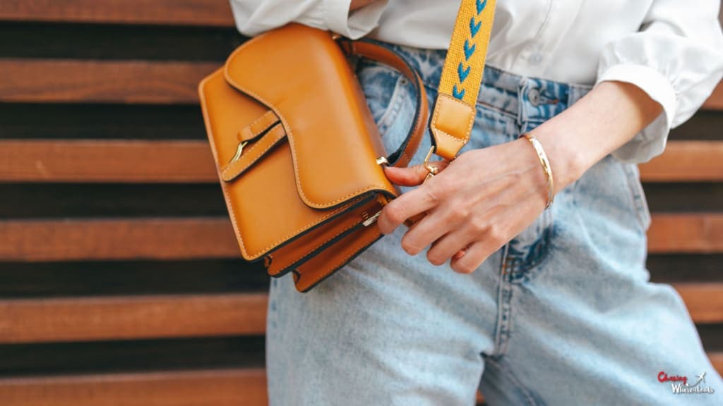 Best Crossbody bag for Europe travel in 2026