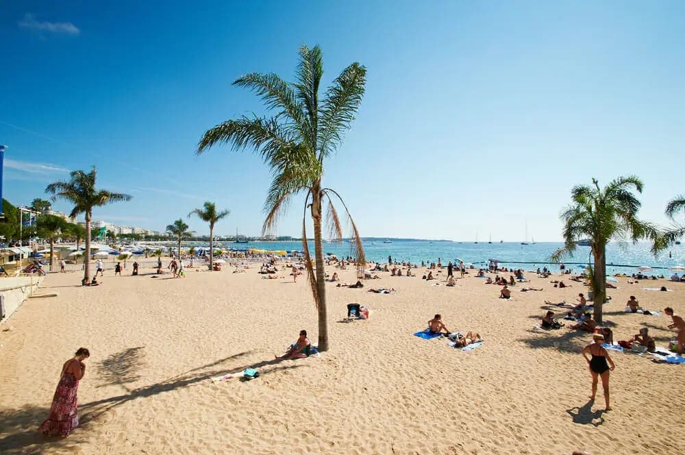 Best Gay Beaches in Barcelona: Top Spots for Sun and Fun