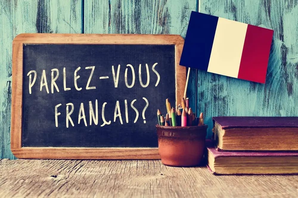 How to Say Good Morning in French: 20+ Ways